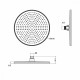 Лейка душевая верхняя Raglo R451.50.06 тропический душ ∅250мм пластик/силикон, черный
