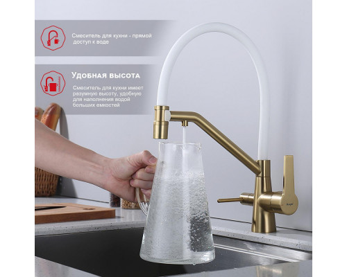 Смеситель Raglo R80.62.03 для кухни с подключением к фильтру съёмный гибкий излив с магнитным фиксатором, сатин золотой
