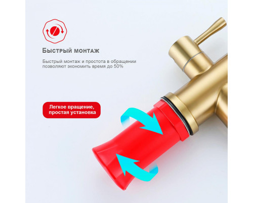 Смеситель Raglo R81.64.03 для кухни с подключением к фильтру излив гибкий поворотный, сатин золотой