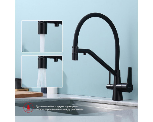 Смеситель Raglo R80.62.06 для кухни с подключением к фильтру съёмный гибкий излив с магнитным фиксатором, черный