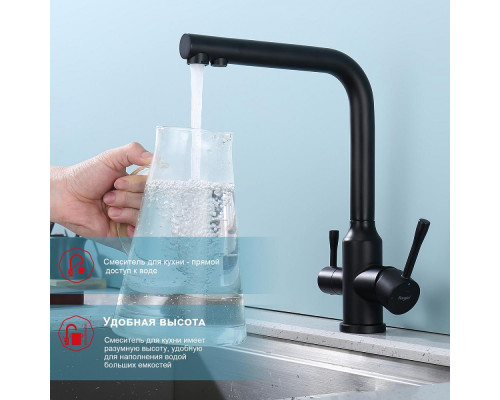Смеситель Raglo R81.61.06 для кухни с подключением к фильтру излив поворотный, черный