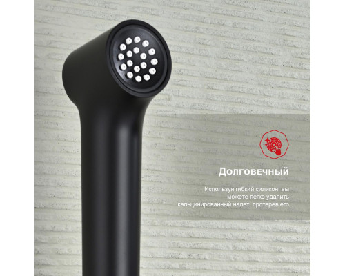 Смеситель Raglo R03.51.06 с гигиеническим душем настенный , черный