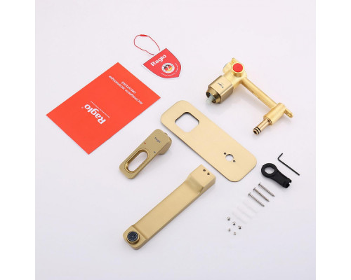 Смеситель Raglo R51.11.03 для раковины встраиваемый монолитный, сатин золотой