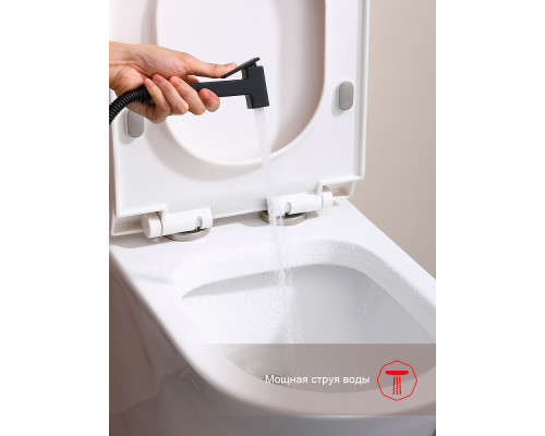 Смеситель Raglo R51.52.06 с гигиеническим душем встраиваемый , черный