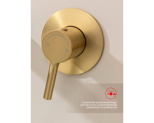 Смеситель Raglo R07.32.03 для ванны и душа встраиваемый излив монолитный 20 см, сатин золотой