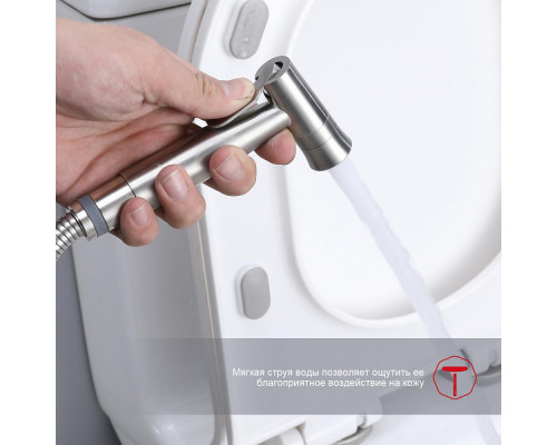 Смеситель Raglo R10.52.05 с гигиеническим душем встраиваемый , сатин