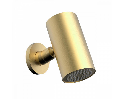 Лейка верхняя Raglo R452.07.03 для душа ∅80мм 1 режим круглая нержавеющая сталь, сатин золотой