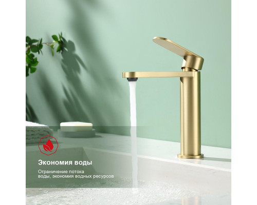 Смеситель Raglo R10.10.03 для раковины монолитный, сатин золотой