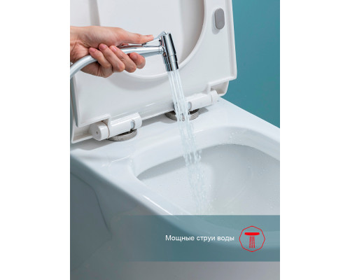 Смеситель Raglo R07.52 с гигиеническим душем встраиваемый , хром