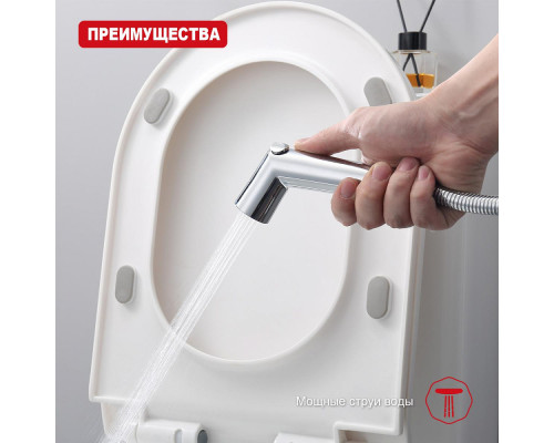 Лейка для гигиенического душа Raglo R460.01 с клавишей регулировки воды пластик/силикон, хром