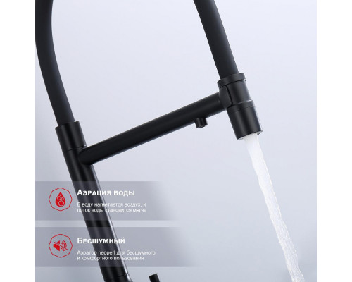 Смеситель Raglo R81.63.06 для кухни с подключением к фильтру съёмный гибкий излив с магнитным фиксатором, черный