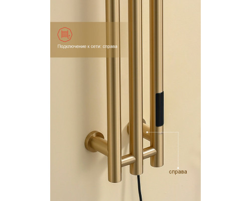 Полотенцесушитель электрический RAGLO R350.16.03 настенный сенсорный узкий с терморегулятором , сатин золотой