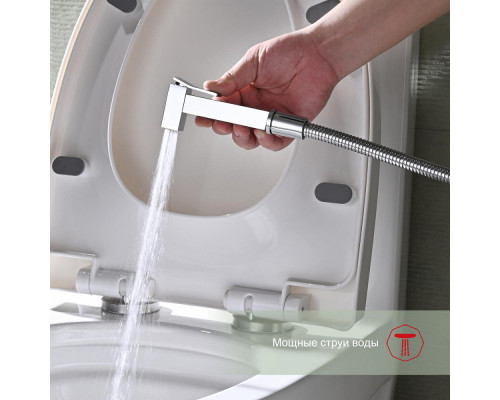 Смеситель Raglo R01.51 с гигиеническим душем настенный , хром