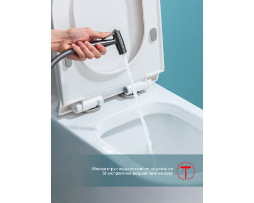 Смеситель Raglo R07.52.09 с гигиеническим душем встраиваемый , графит