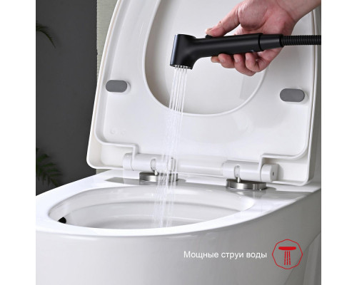 Смеситель Raglo R03.51.06 с гигиеническим душем настенный , черный