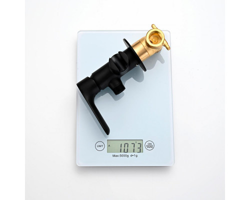 Смеситель Raglo R03.52.06 с гигиеническим душем встраиваемый , черный