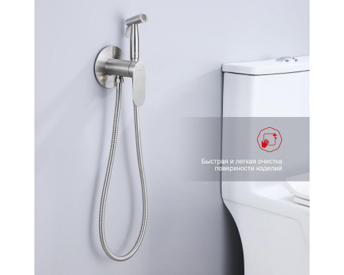 Смеситель Raglo R10.52.05 с гигиеническим душем встраиваемый , сатин