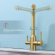 Смеситель Raglo R81.61.03 для кухни с подключением к фильтру излив поворотный, сатин золотой