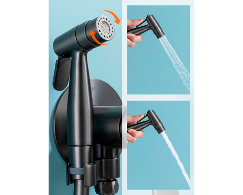 Смеситель Raglo R07.52.09 с гигиеническим душем встраиваемый , графит