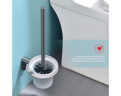 Ёршик для унитаза Raglo R300.10.09 с держателем,графит