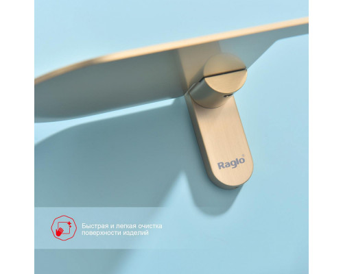 Держатель для туалетной бумаги Raglo R300.03.03 с полкой,сатин золотой