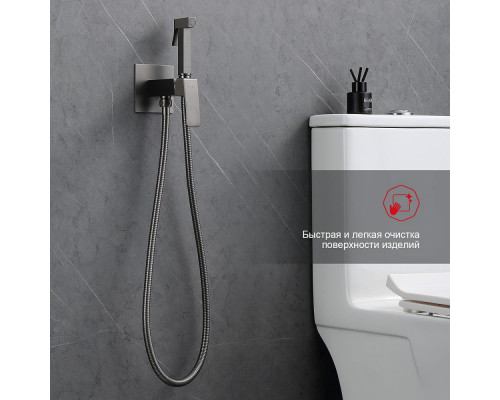 Смеситель Raglo R01.52.09 с гигиеническим душем встраиваемый , графит