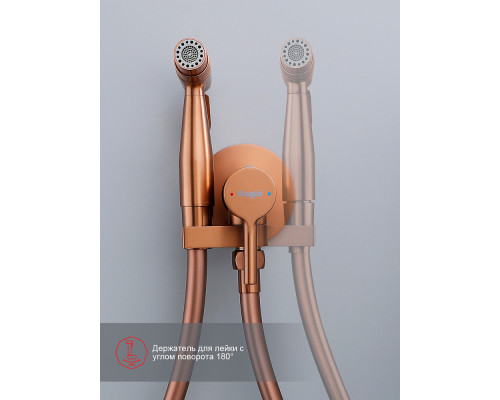 Смеситель Raglo R20.54.06 с гигиеническим душем встраиваемый , матовая медь
