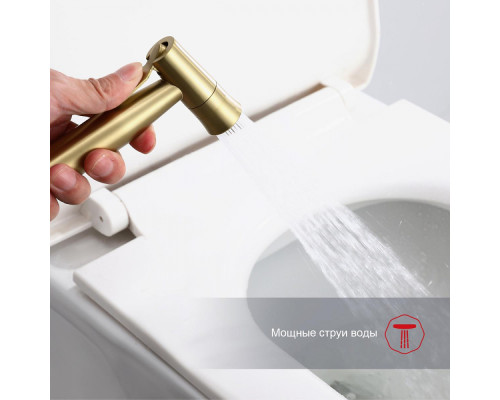 Смеситель Raglo R10.52.03 с гигиеническим душем встраиваемый , сатин золотой