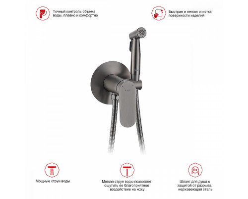 Смеситель Raglo R10.52.09 с гигиеническим душем встраиваемый , графит