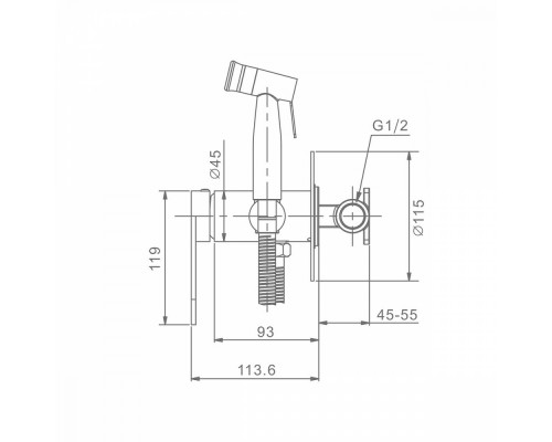 Смеситель Raglo R10.52.09 с гигиеническим душем встраиваемый , графит