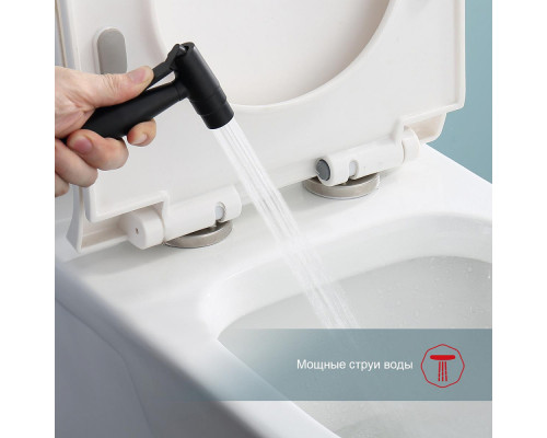 Смеситель Raglo R20.52.06 с гигиеническим душем встраиваемый , черный