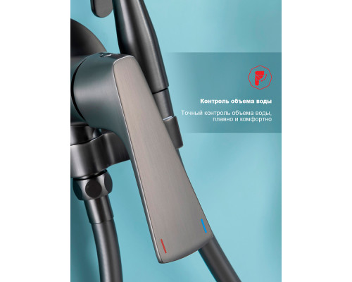 Смеситель Raglo R07.52.09 с гигиеническим душем встраиваемый , графит