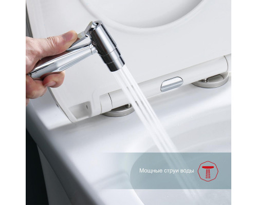 Смеситель Raglo R20.52 с гигиеническим душем встраиваемый , хром