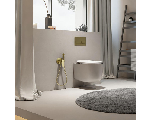 Смеситель Raglo R10.52.05 с гигиеническим душем встраиваемый , сатин