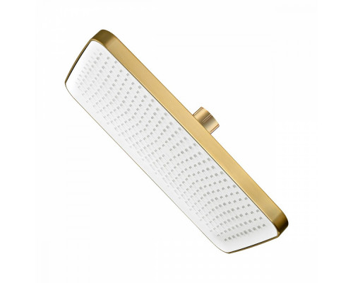 Лейка душевая верхняя Raglo R451.52.03 тропический душ 340*220мм пластик/силикон, Сатин золотой