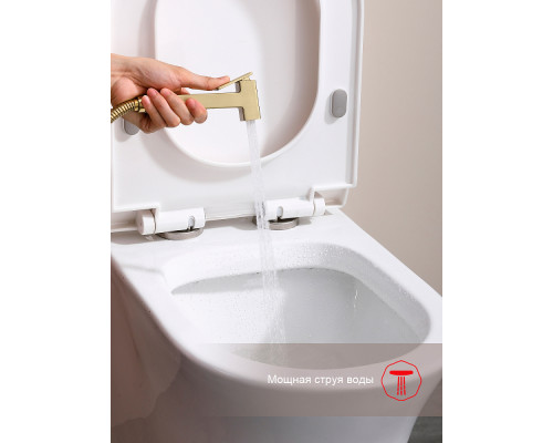 Смеситель Raglo R51.52.03 с гигиеническим душем встраиваемый , сатин золотой