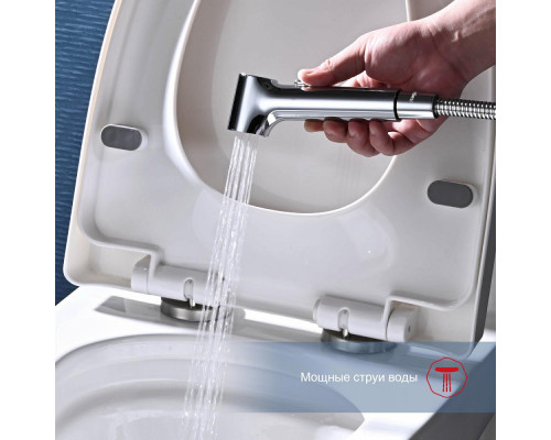 Смеситель Raglo R03.51 с гигиеническим душем настенный , хром