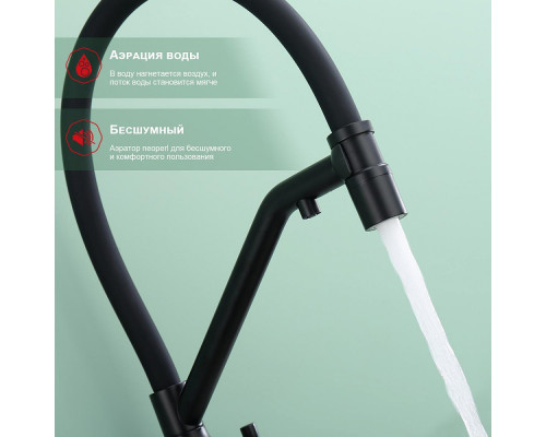 Смеситель Raglo R81.62.06 для кухни с подключением к фильтру съёмный гибкий излив с магнитным фиксатором, черный