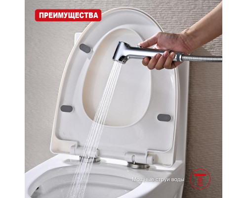 Лейка для гигиенического душа Raglo R460.05 с клавишей регулировки воды пластик/силикон, хром