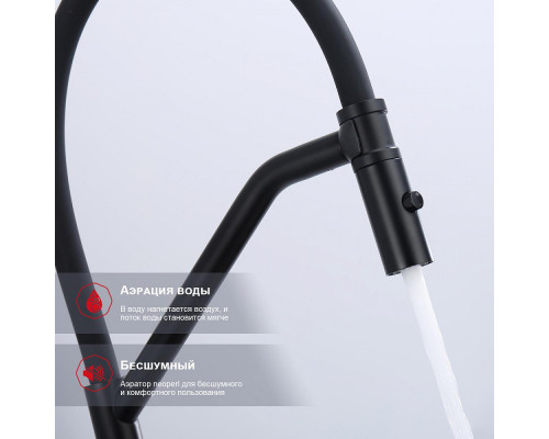 Смеситель Raglo R86.41.06 для кухни съёмный гибкий излив с магнитным фиксатором, черный