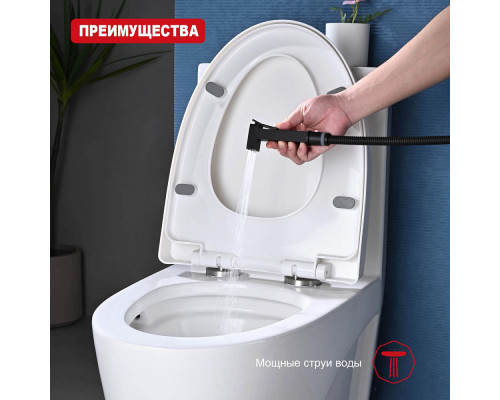 Лейка для гигиенического душа Raglo R460.04.06 латунь, черный