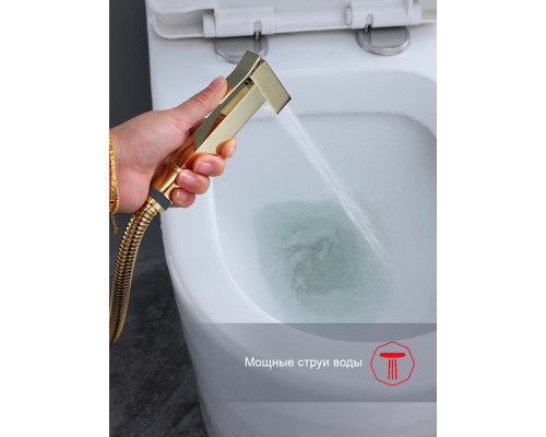 Смеситель Raglo R01.52.23 с гигиеническим душем встраиваемый , золото