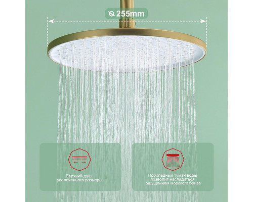 Душевая система Raglo R03.24.03 для ванны и душа излив поворотный 15 см, сатин золотой