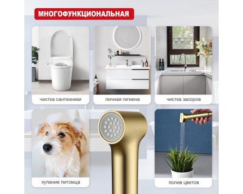 Лейка для гигиенического душа Raglo R460.05.03 с клавишей регулировки воды пластик/силикон, сатинзолотой