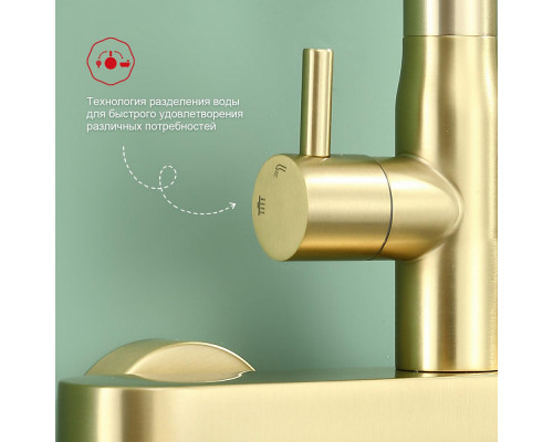 Душевая система Raglo R10.24.03 для ванны и душа излив поворотный 15 см, сатин золотой