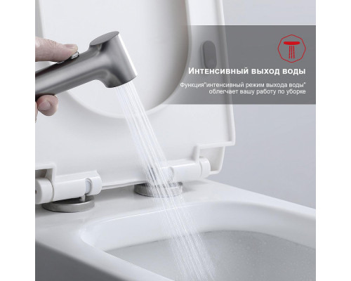 Смеситель Raglo R03.51.09 с гигиеническим душем настенный , графит