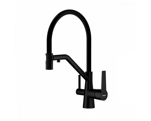 Смеситель Raglo R80.62.06 для кухни с подключением к фильтру съёмный гибкий излив с магнитным фиксатором, черный