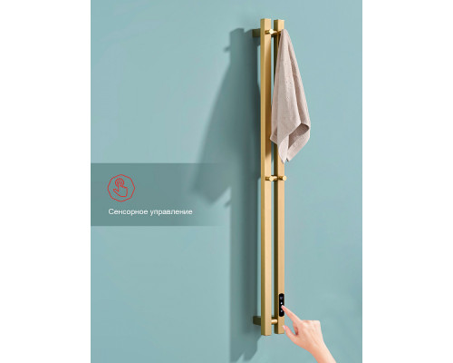 Полотенцесушитель электрический RAGLO R350.12.03 настенный сенсорный узкий с терморегулятором , сатин золотой