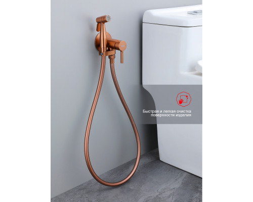 Смеситель Raglo R20.54.06 с гигиеническим душем встраиваемый , матовая медь