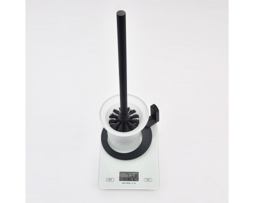 Ёршик для унитаза Raglo R300.10.06 с держателем,черный